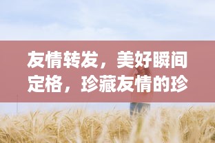 友情转发，美好瞬间定格，珍藏友情的珍贵时刻