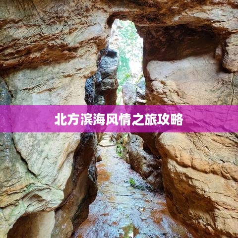 水浄鹅飞