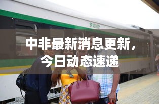 中非最新消息更新，今日动态速递