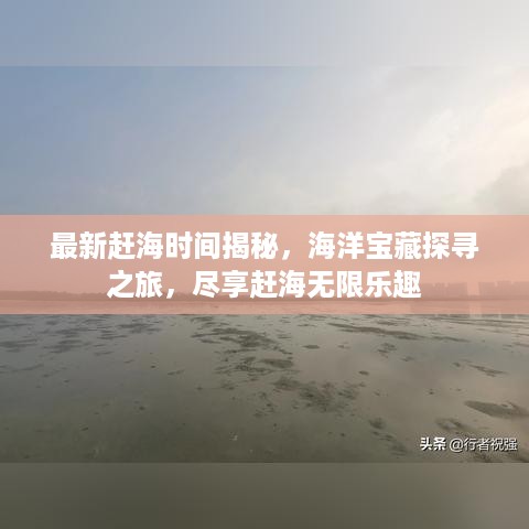 最新赶海时间揭秘，海洋宝藏探寻之旅，尽享赶海无限乐趣