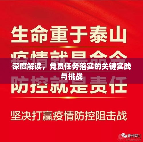 深度解读，党员任务落实的关键实践与挑战