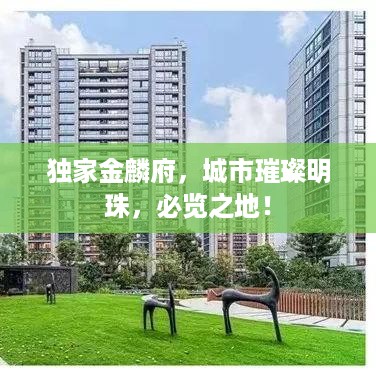 独家金麟府，城市璀璨明珠，必览之地！
