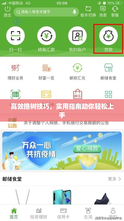 高效撸树技巧，实用指南助你轻松上手