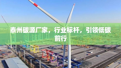 泰州碳源厂家，行业标杆，引领低碳前行