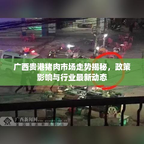 广西贵港猪肉市场走势揭秘，政策影响与行业最新动态