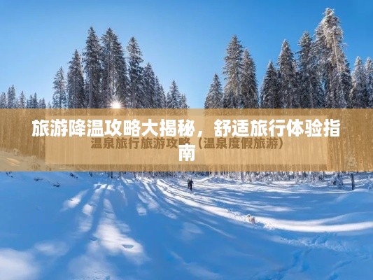 旅游降温攻略大揭秘，舒适旅行体验指南