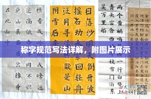 称字规范写法详解，附图片展示