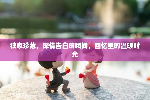 独家珍藏，深情告白的瞬间，回忆里的温暖时光