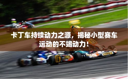卡丁车持续动力之源，揭秘小型赛车运动的不竭动力！