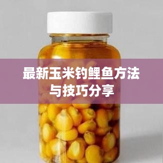 最新玉米钓鲤鱼方法与技巧分享