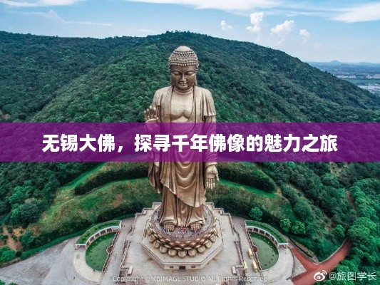无锡大佛，探寻千年佛像的魅力之旅