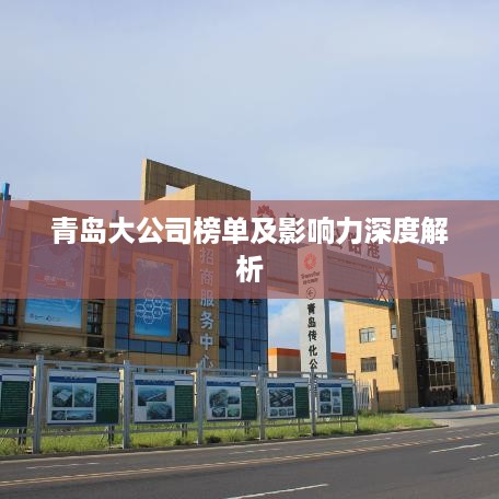 成功案例 第17页