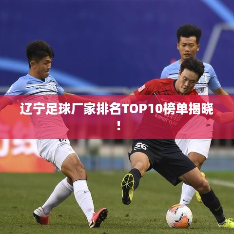 辽宁足球厂家排名TOP10榜单揭晓！