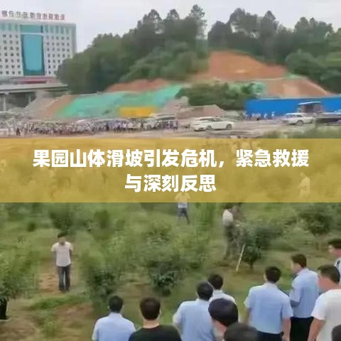 果园山体滑坡引发危机，紧急救援与深刻反思