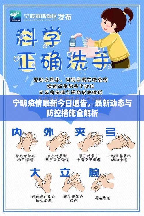宁明疫情最新今日通告，最新动态与防控措施全解析