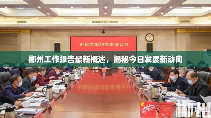 郴州工作报告最新概述，揭秘今日发展新动向