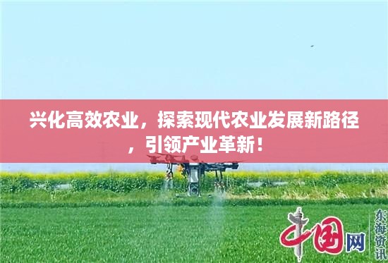 兴化高效农业，探索现代农业发展新路径，引领产业革新！