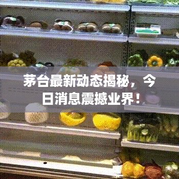 茅台最新动态揭秘，今日消息震撼业界！