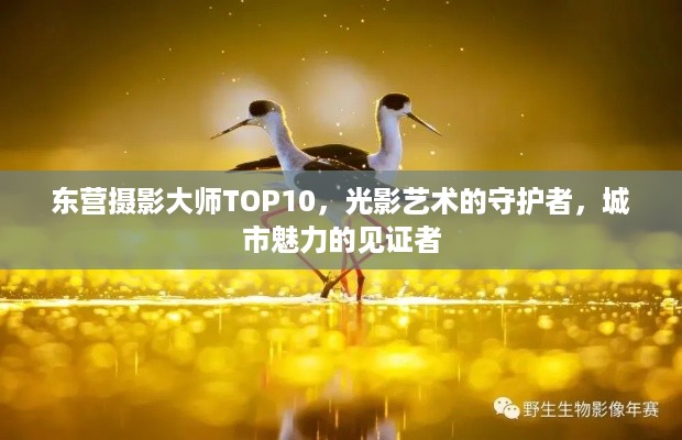 东营摄影大师TOP10，光影艺术的守护者，城市魅力的见证者