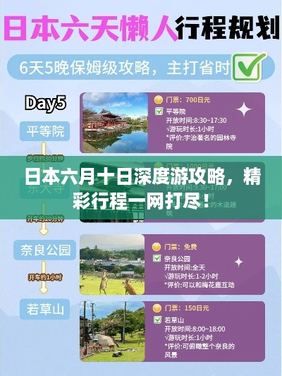 日本六月十日深度游攻略，精彩行程一网打尽！
