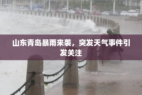 山东青岛暴雨来袭，突发天气事件引发关注