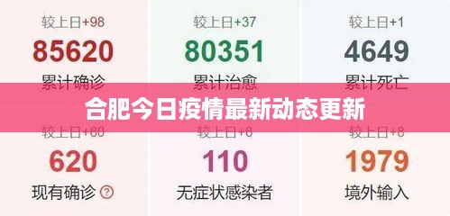 合肥今日疫情最新动态更新