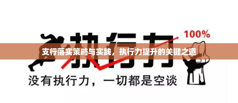 支行落实策略与实践，执行力提升的关键之道
