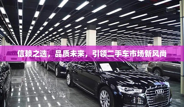 信赖之选，品质未来，引领二手车市场新风尚