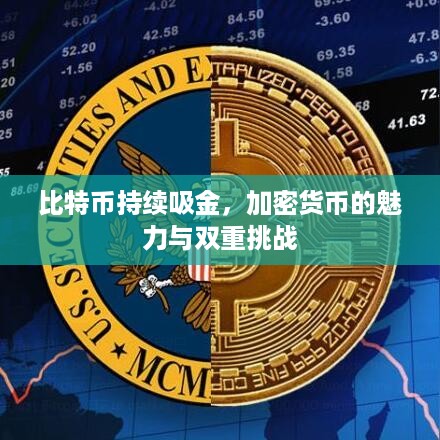 比特币持续吸金，加密货币的魅力与双重挑战