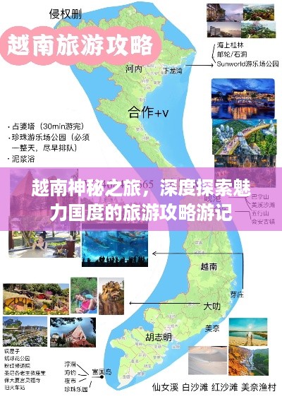 成功案例 第15页