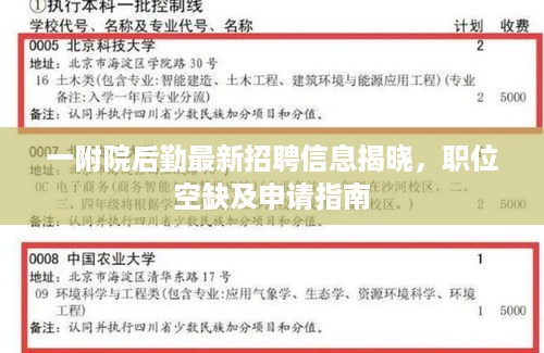 一附院后勤最新招聘信息揭晓，职位空缺及申请指南