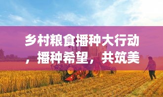 乡村粮食播种大行动，播种希望，共筑美好未来