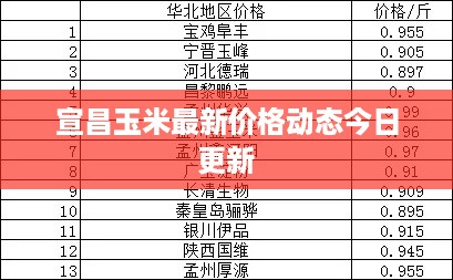 宣昌玉米最新价格动态今日更新