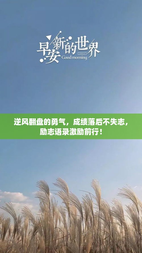 逆风翻盘的勇气，成绩落后不失志，励志语录激励前行！