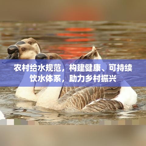 农村给水规范，构建健康、可持续饮水体系，助力乡村振兴
