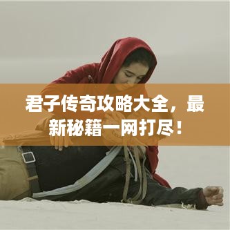 君子传奇攻略大全，最新秘籍一网打尽！