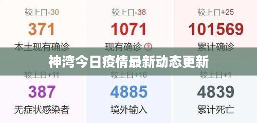 神湾今日疫情最新动态更新