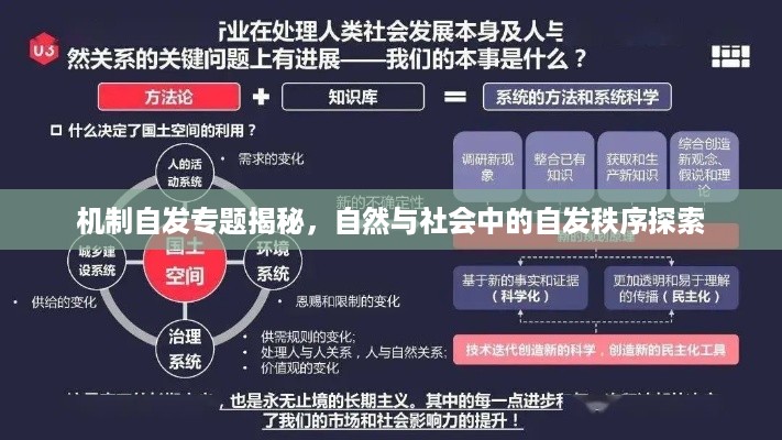 机制自发专题揭秘，自然与社会中的自发秩序探索