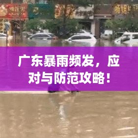广东暴雨频发，应对与防范攻略！