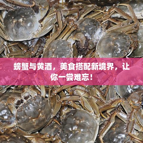 螃蟹与黄酒，美食搭配新境界，让你一尝难忘！