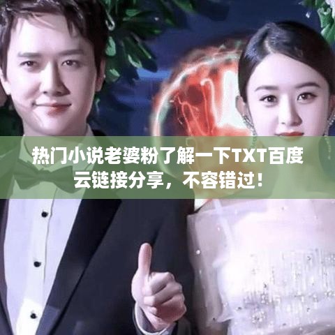 热门小说老婆粉了解一下TXT百度云链接分享，不容错过！