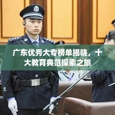 成功案例 第12页