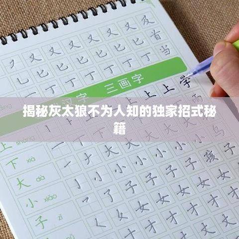 揭秘灰太狼不为人知的独家招式秘籍