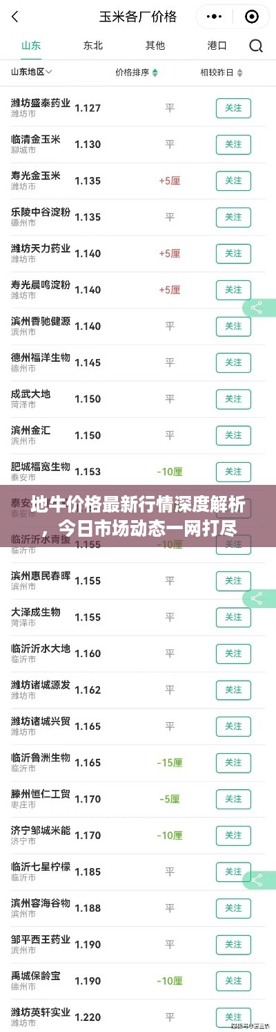 地牛价格最新行情深度解析，今日市场动态一网打尽