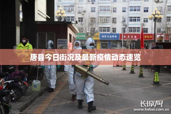唐县今日街况及最新疫情动态速览