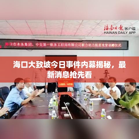 海口大致坡今日事件内幕揭秘，最新消息抢先看