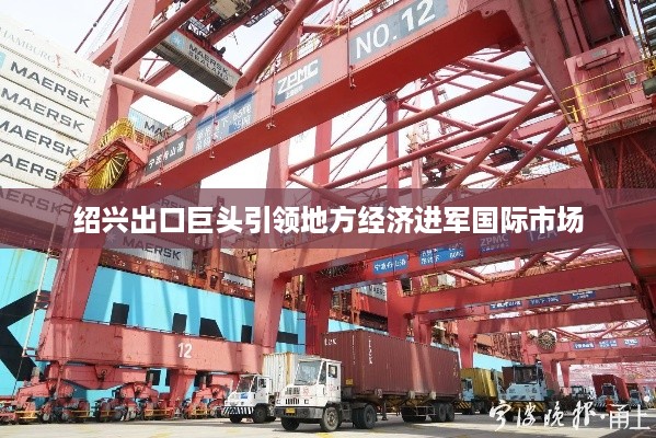 绍兴出口巨头引领地方经济进军国际市场
