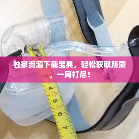 独家资源下载宝典，轻松获取所需，一网打尽！