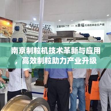 南京制粒机技术革新与应用，高效制粒助力产业升级