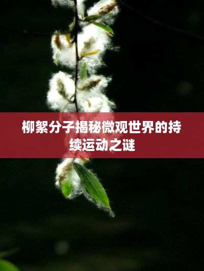 怀真抱素